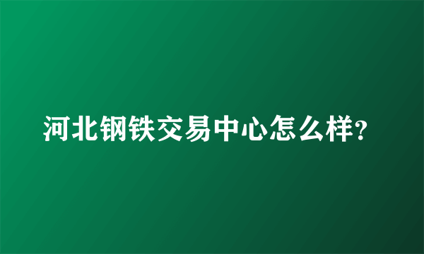 河北钢铁交易中心怎么样？