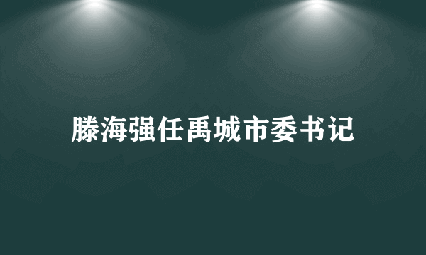 滕海强任禹城市委书记