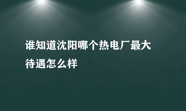 谁知道沈阳哪个热电厂最大 待遇怎么样