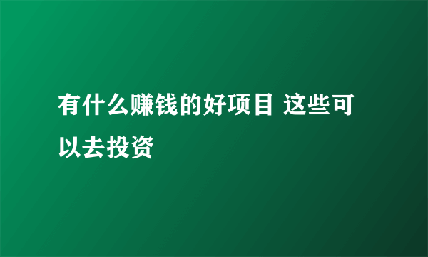 有什么赚钱的好项目 这些可以去投资
