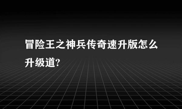 冒险王之神兵传奇速升版怎么升级道?