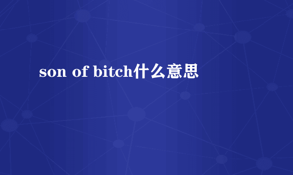 son of bitch什么意思