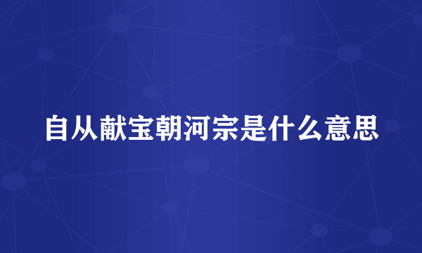 自从献宝朝河宗是什么意思