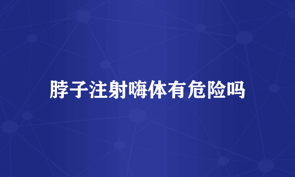 脖子注射嗨体有危险吗