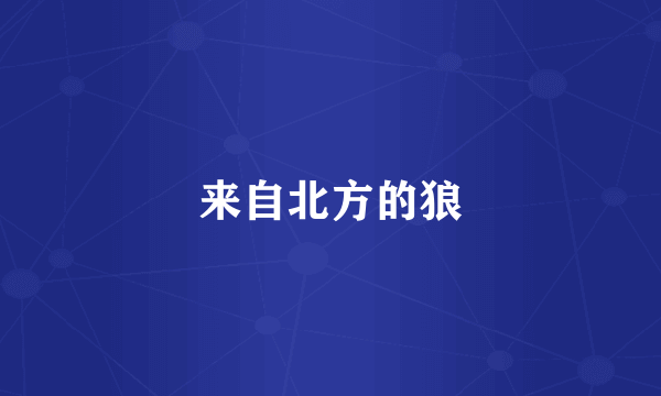 来自北方的狼