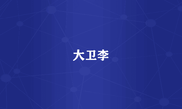 大卫李