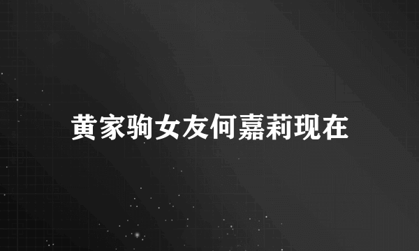 黄家驹女友何嘉莉现在
