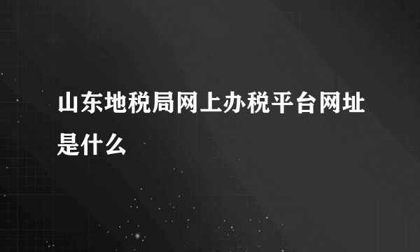 山东地税局网上办税平台网址是什么