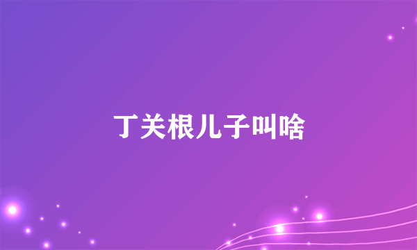 丁关根儿子叫啥