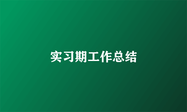 实习期工作总结