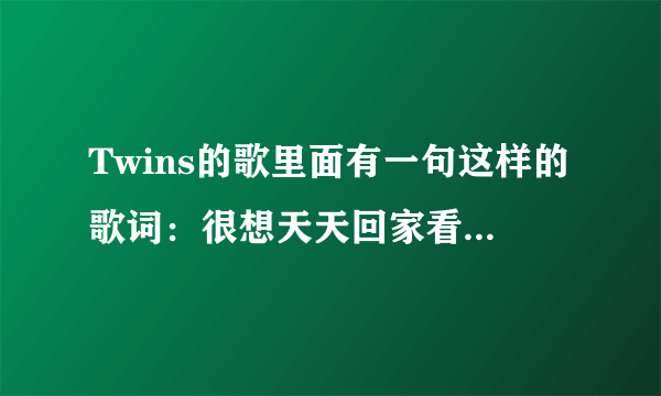 Twins的歌里面有一句这样的歌词：很想天天回家看妈妈，这是什么歌