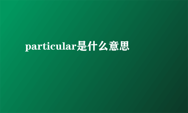 particular是什么意思