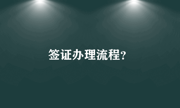 签证办理流程？