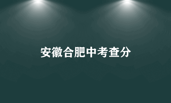 安徽合肥中考查分