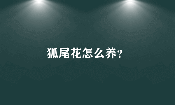 狐尾花怎么养？
