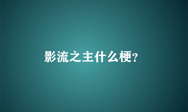 影流之主什么梗？