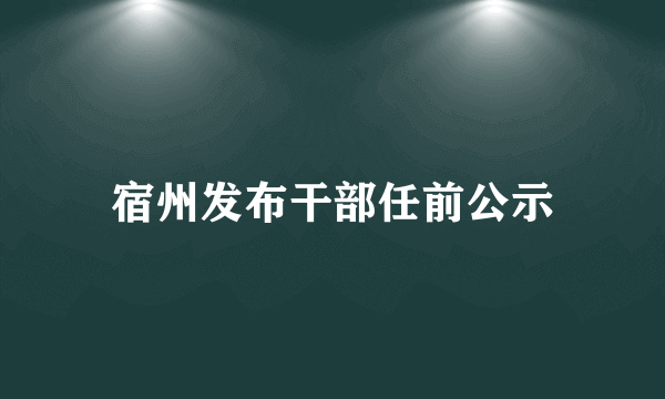 宿州发布干部任前公示