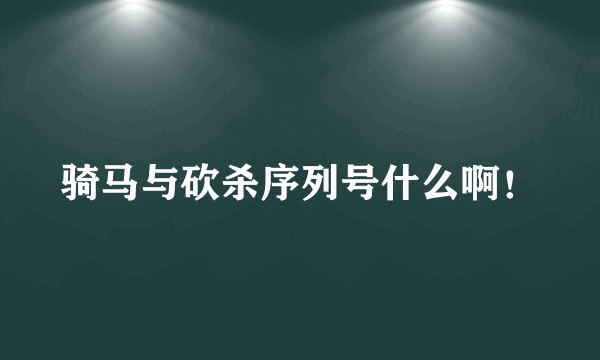 骑马与砍杀序列号什么啊！