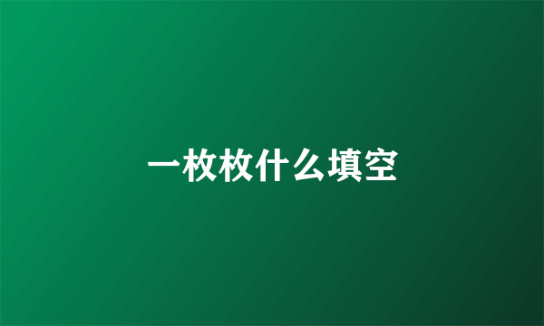 一枚枚什么填空