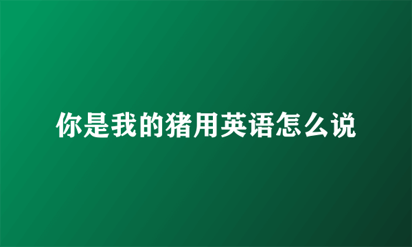 你是我的猪用英语怎么说