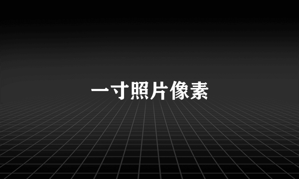 一寸照片像素