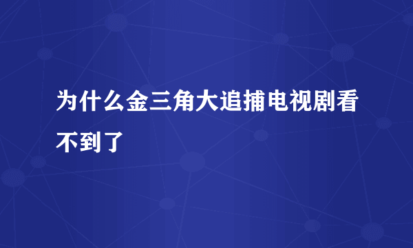 为什么金三角大追捕电视剧看不到了