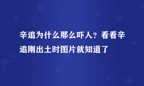 辛追为什么那么吓人？看看辛追刚出土时图片就知道了