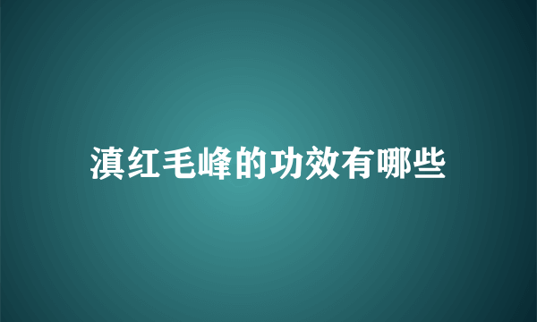 滇红毛峰的功效有哪些