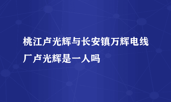 桃江卢光辉与长安镇万辉电线厂卢光辉是一人吗