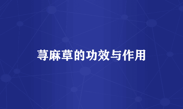 荨麻草的功效与作用