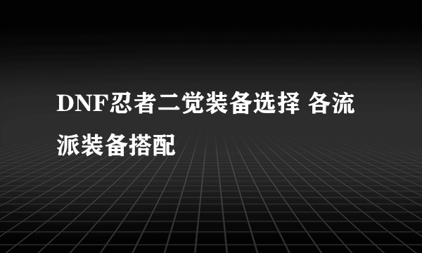 DNF忍者二觉装备选择 各流派装备搭配