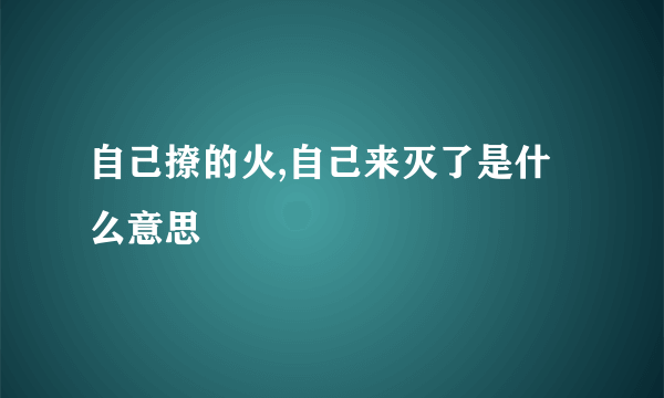 自己撩的火,自己来灭了是什么意思