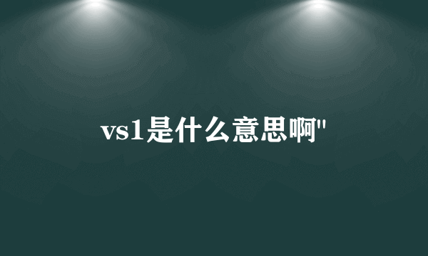 vs1是什么意思啊