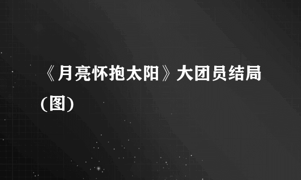 《月亮怀抱太阳》大团员结局(图)