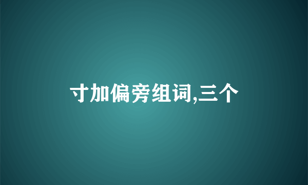 寸加偏旁组词,三个