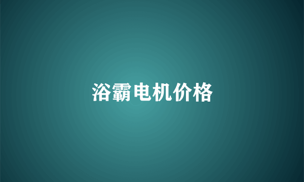 浴霸电机价格
