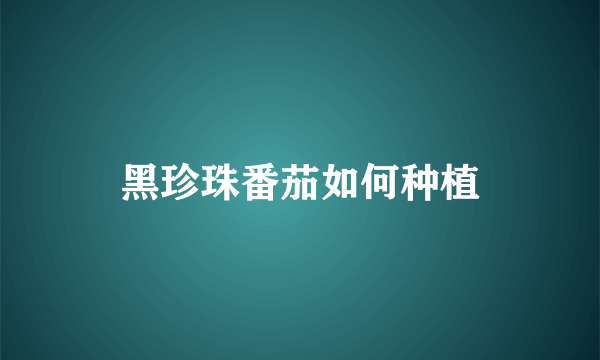 黑珍珠番茄如何种植
