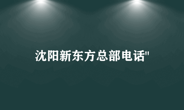 沈阳新东方总部电话