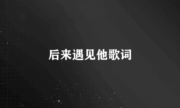 后来遇见他歌词