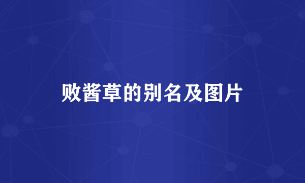 败酱草的别名及图片