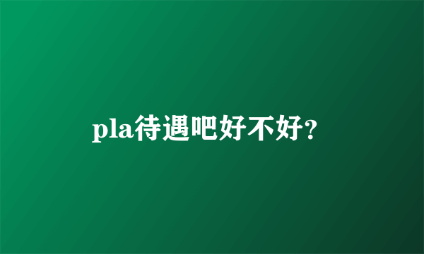 pla待遇吧好不好？