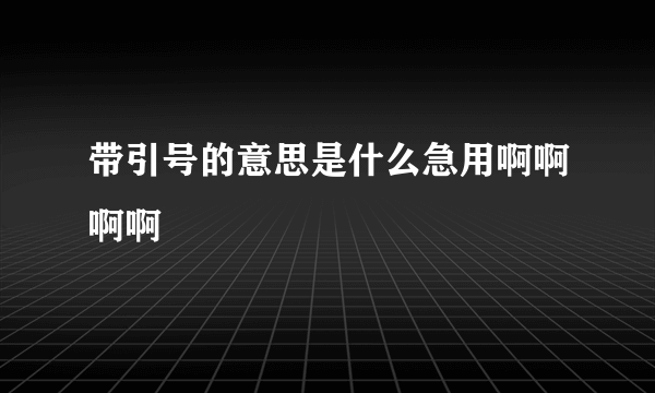 带引号的意思是什么急用啊啊啊啊