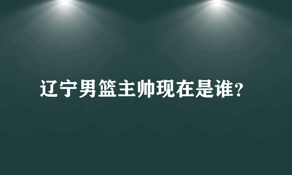 辽宁男篮主帅现在是谁？