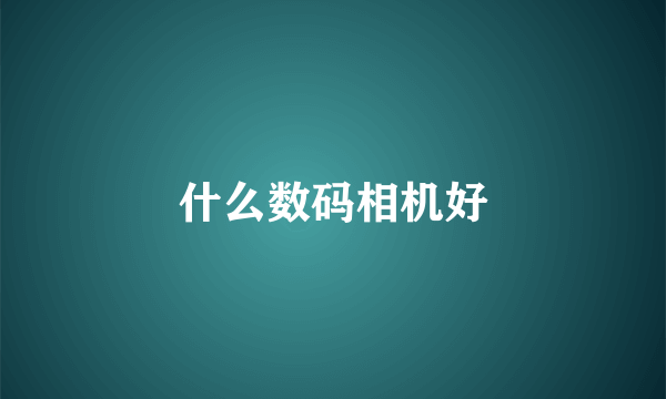什么数码相机好