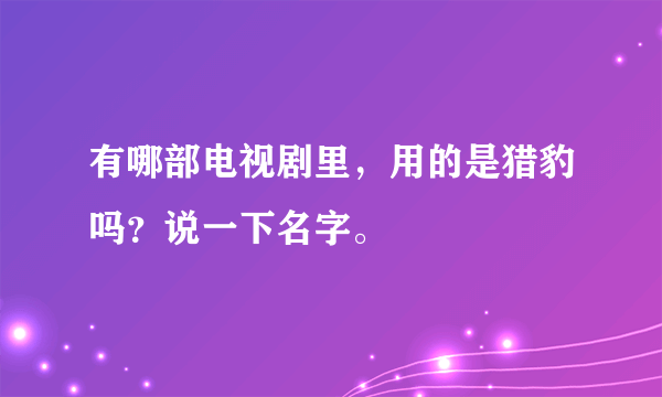 有哪部电视剧里，用的是猎豹吗？说一下名字。