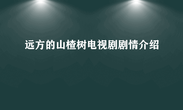 远方的山楂树电视剧剧情介绍