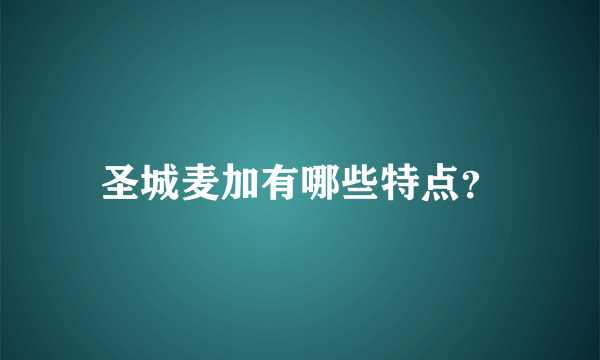 圣城麦加有哪些特点？