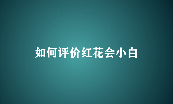 如何评价红花会小白