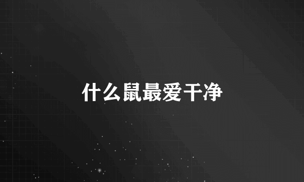 什么鼠最爱干净