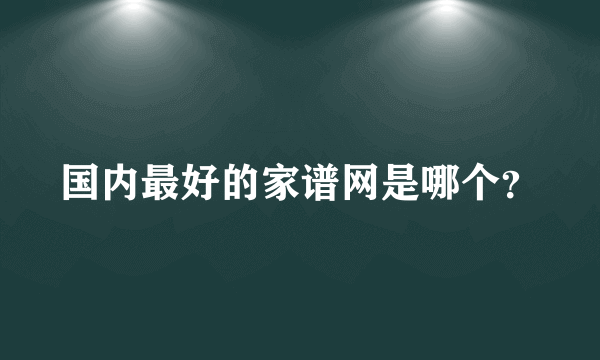 国内最好的家谱网是哪个？